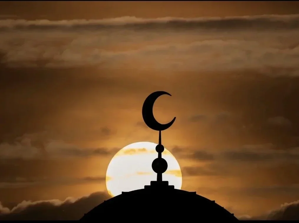 IMG 2765 e1775346270549